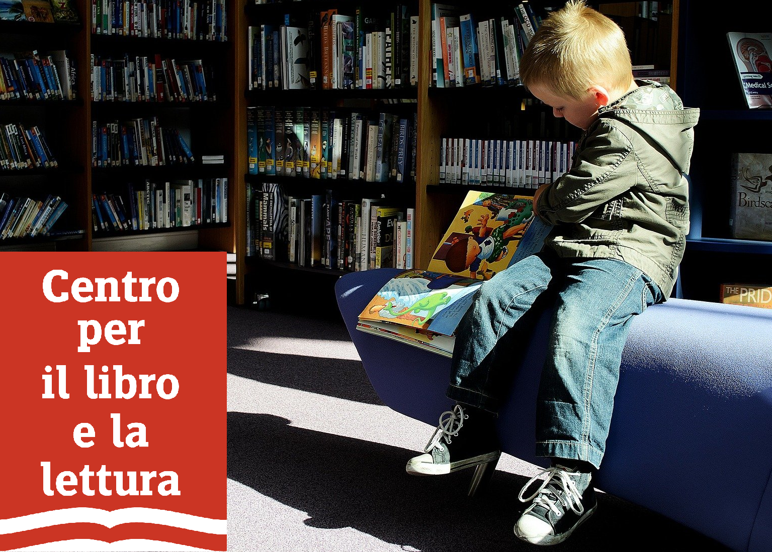 Crescere con la lettura. Benessere, terapia e sviluppo della persona attraverso i libri